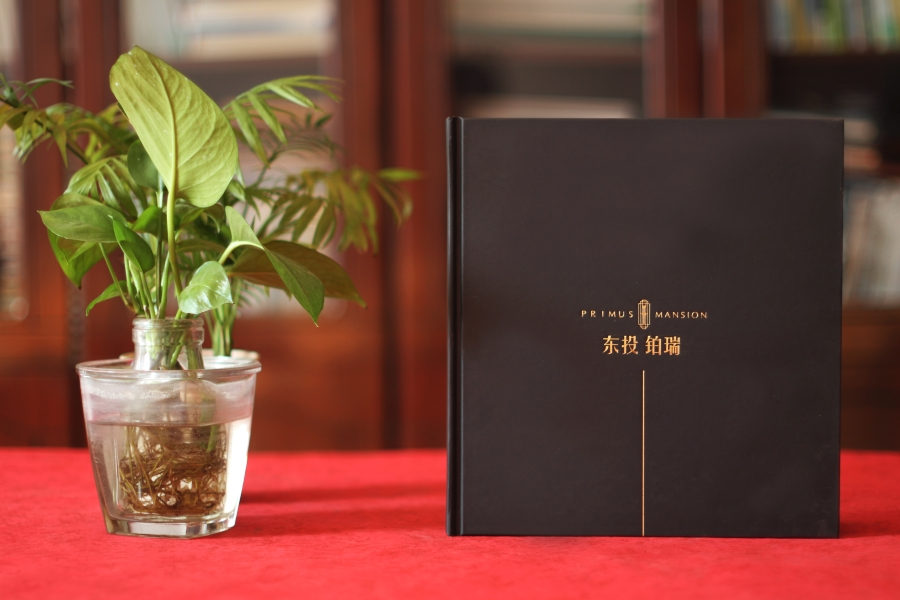 宣傳冊設計這么做，大氣側漏！